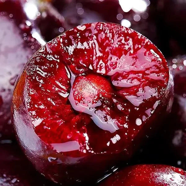 Cherry Bliss – Premium Garden Seeds