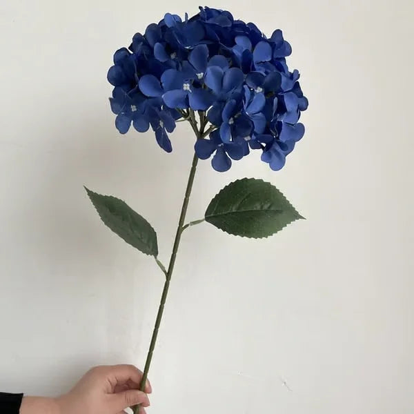 Elegant Hydrangea Blossoms