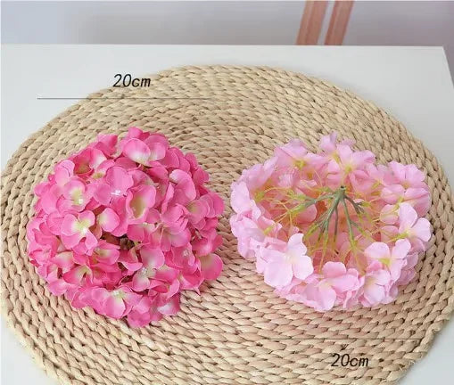 Elegant Hydrangea Blossoms