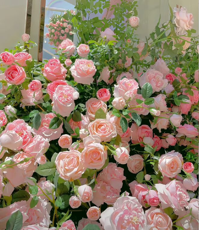 Ethereal Cascade Climbing Rose Seeds