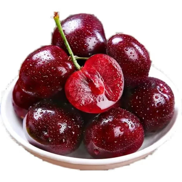 Cherry Bliss – Premium Garden Seeds
