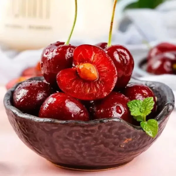 Cherry Bliss – Premium Garden Seeds
