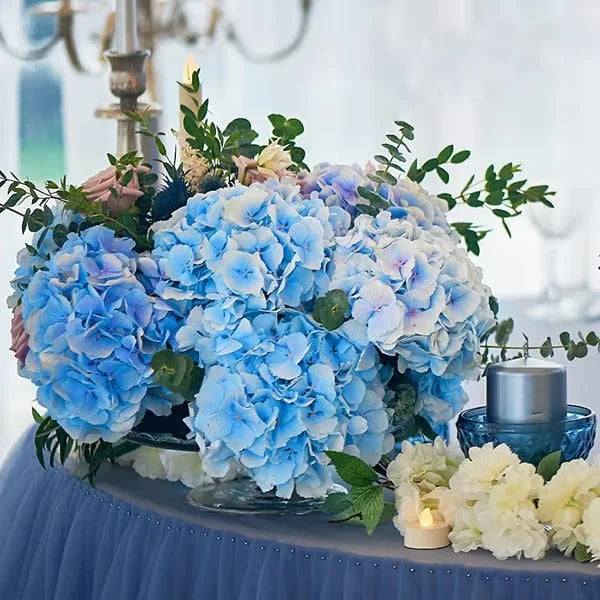 Elegant Hydrangea Blossoms