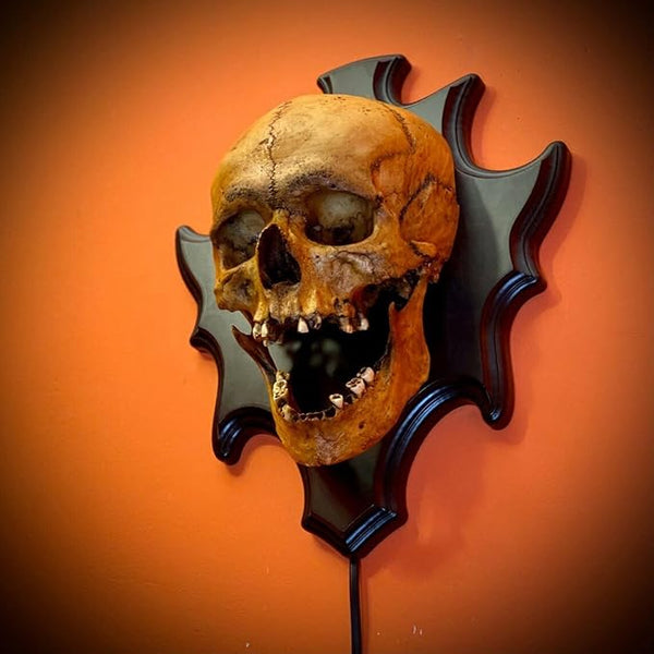 Eternal Darkness Skull Lamp