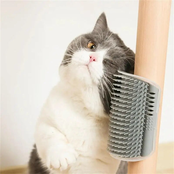 ( 1 + 1 FREE ) Corner Cat Groomer