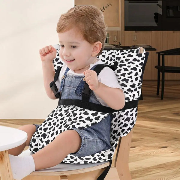 Starry Baby Safety Seat