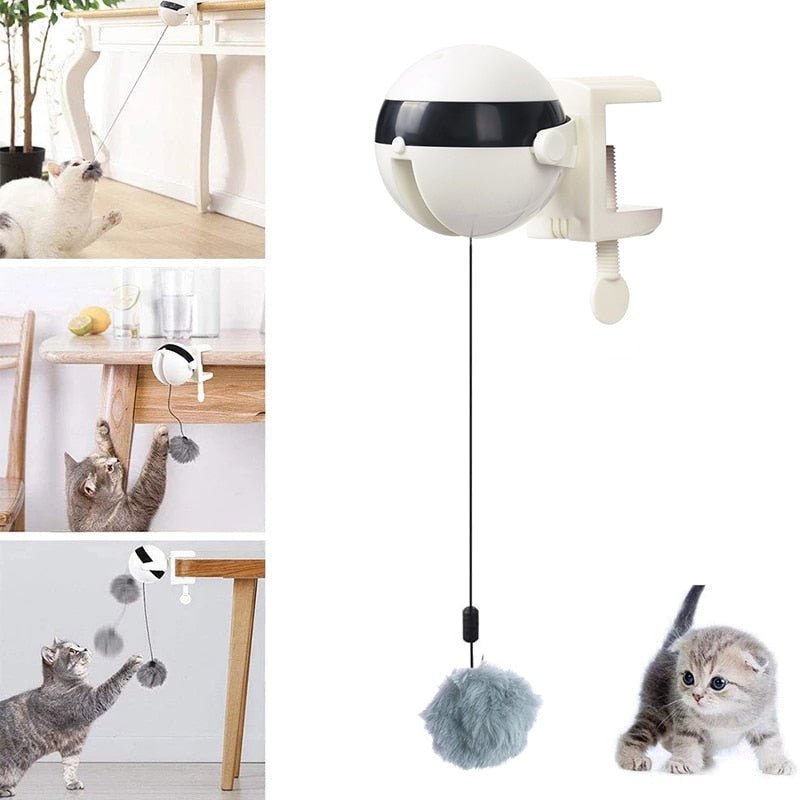 Automatic Cat Toy Ball - beumoonshop