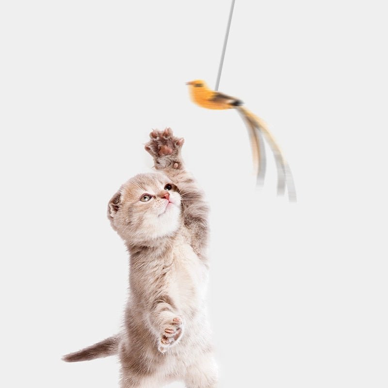 Cat Toy - HunterCat™ - beumoonshop