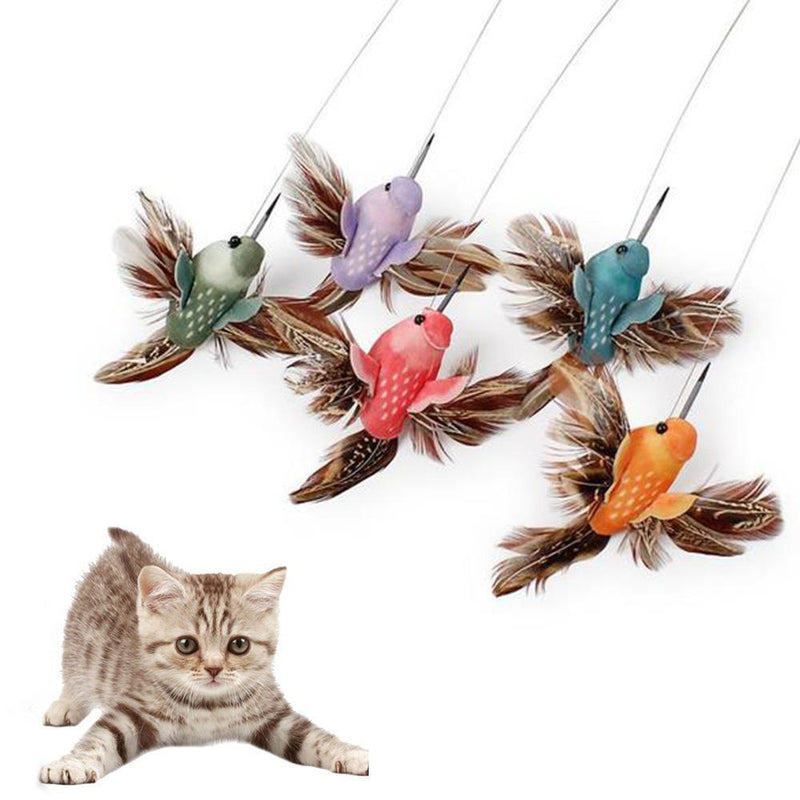 Interactive Bird Cat Toy - beumoonshop