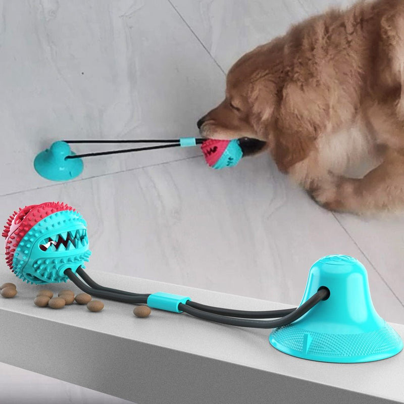 Interactive Dog Toy - beumoonshop